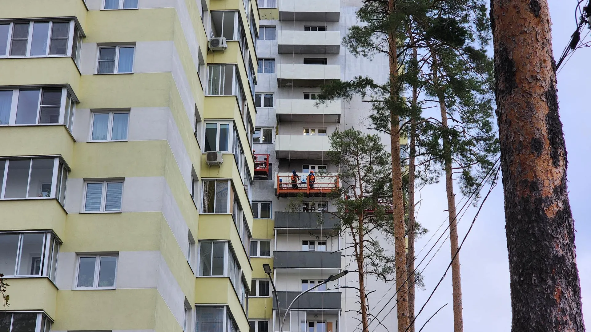 Фото: Медиабанк Подмосковья