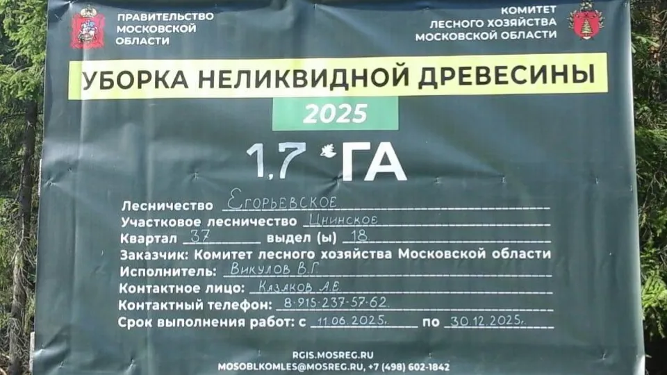Фото: Комитет лесного хозяйства Московской области