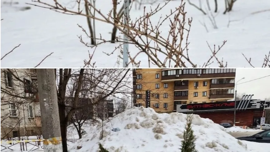 Фото ТГ-канала "Реутов Новокосино Косино-Ухтомский"