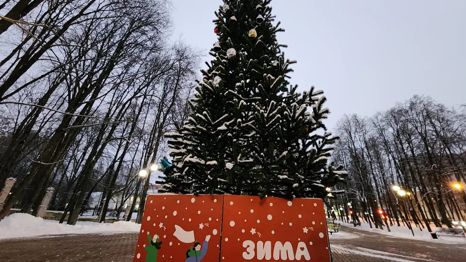 Фото: Дмитрий Алексеенко