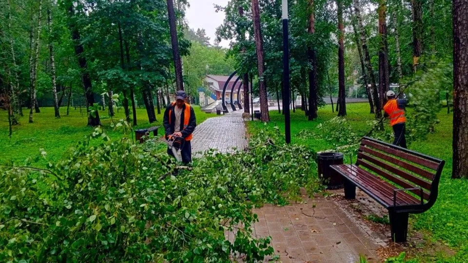 Фото: администрация городского округа Люберцы