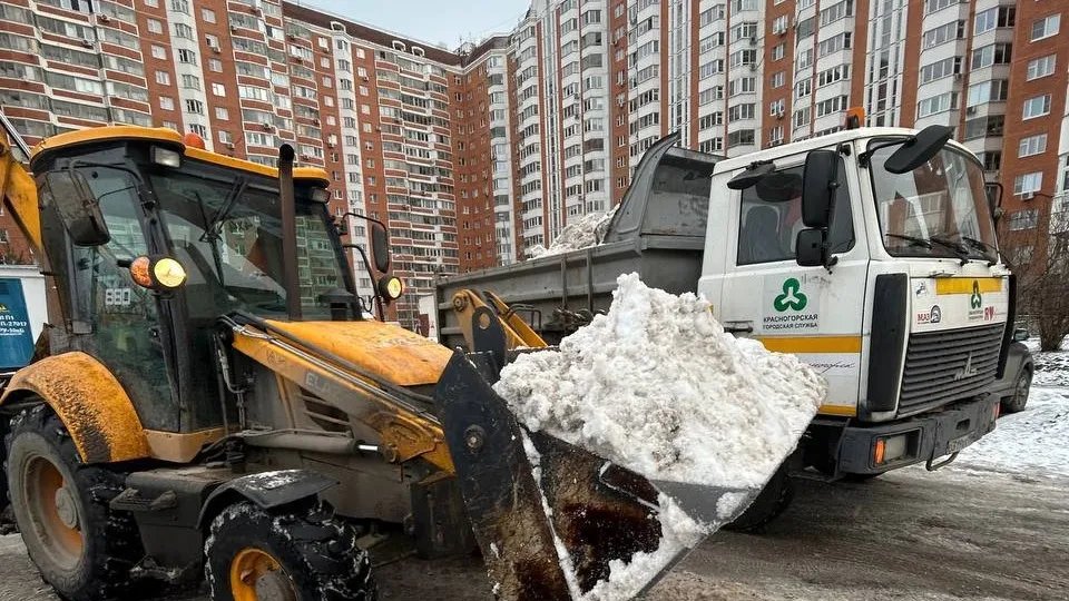 Фото: пресс-служба администрации г. о. Красногорск