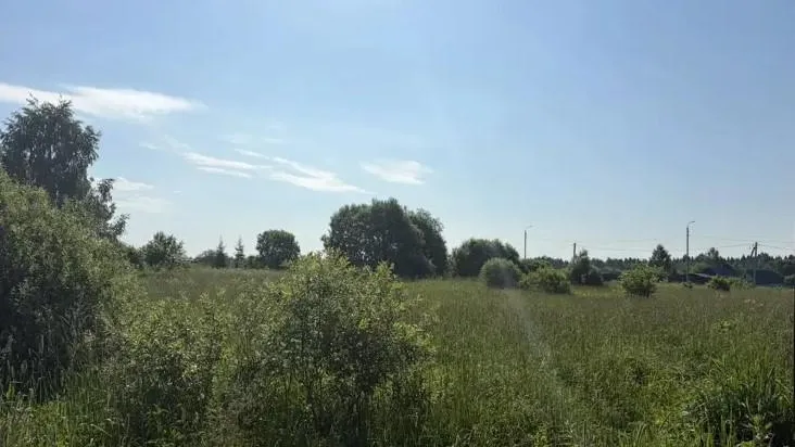 В Подмосковье за неделю на торги выставили 215 новых объектов