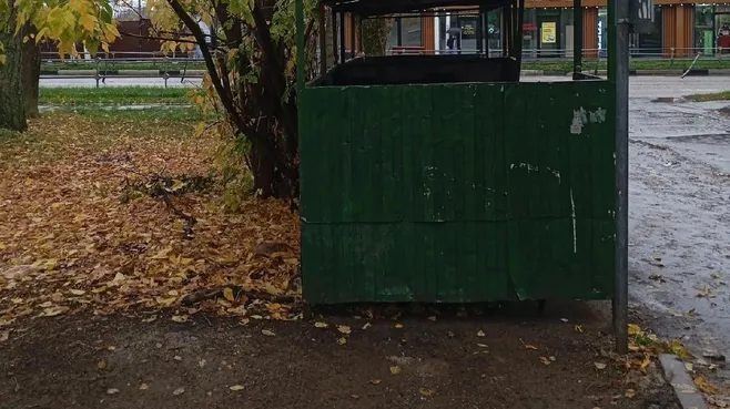 Картинка