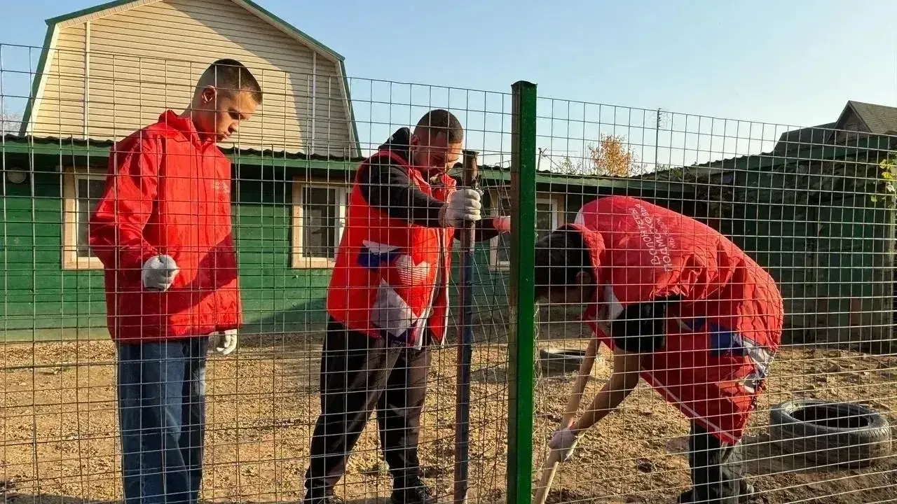 Картинка