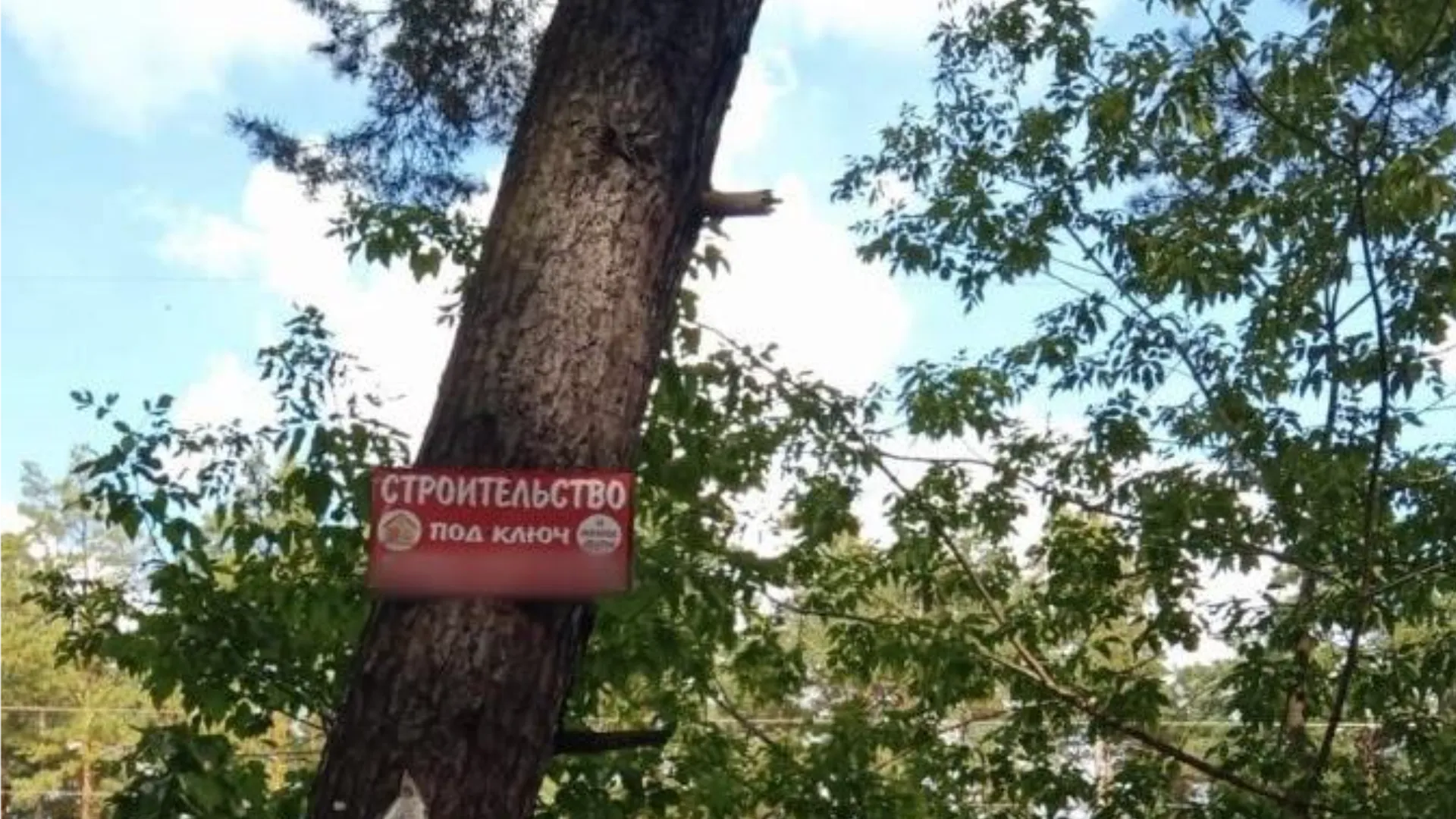 Фото: пресс-служба администрации городского округа Орехово-Зуево