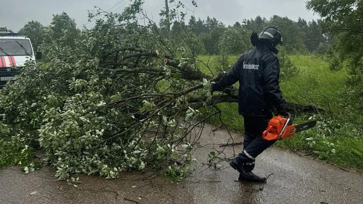 Фото: vk.com/ГКУ МО «Мособлпожспас»