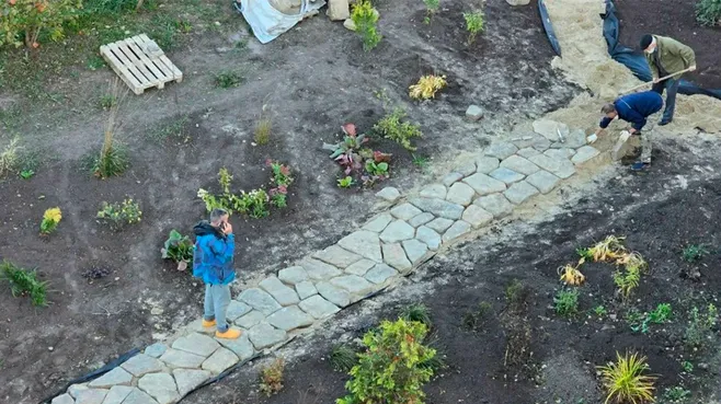 Картинка