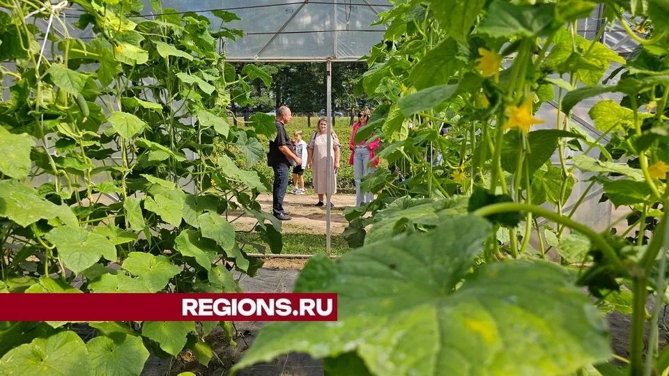 Фото: REGIONS/Александр Дрожжин