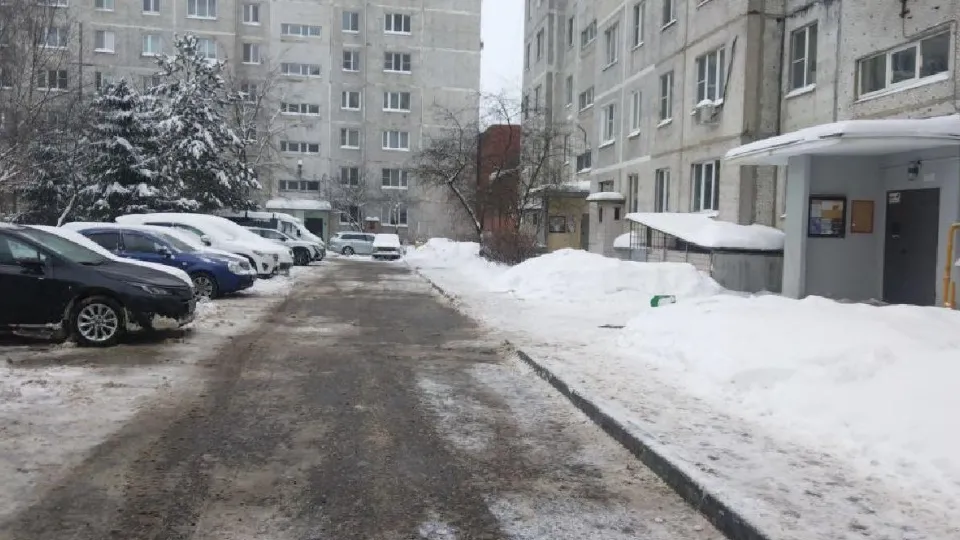 Фото: пресс-служба администрации г.о. Лосино-Петровский