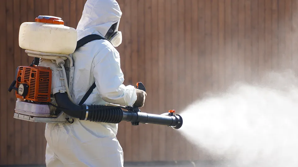 Фото: МедиаБанк Подмосковья/Алёна Притула