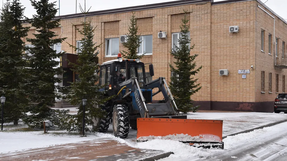 Фото: МедиаБанк Подмосковья/Владимир Останин