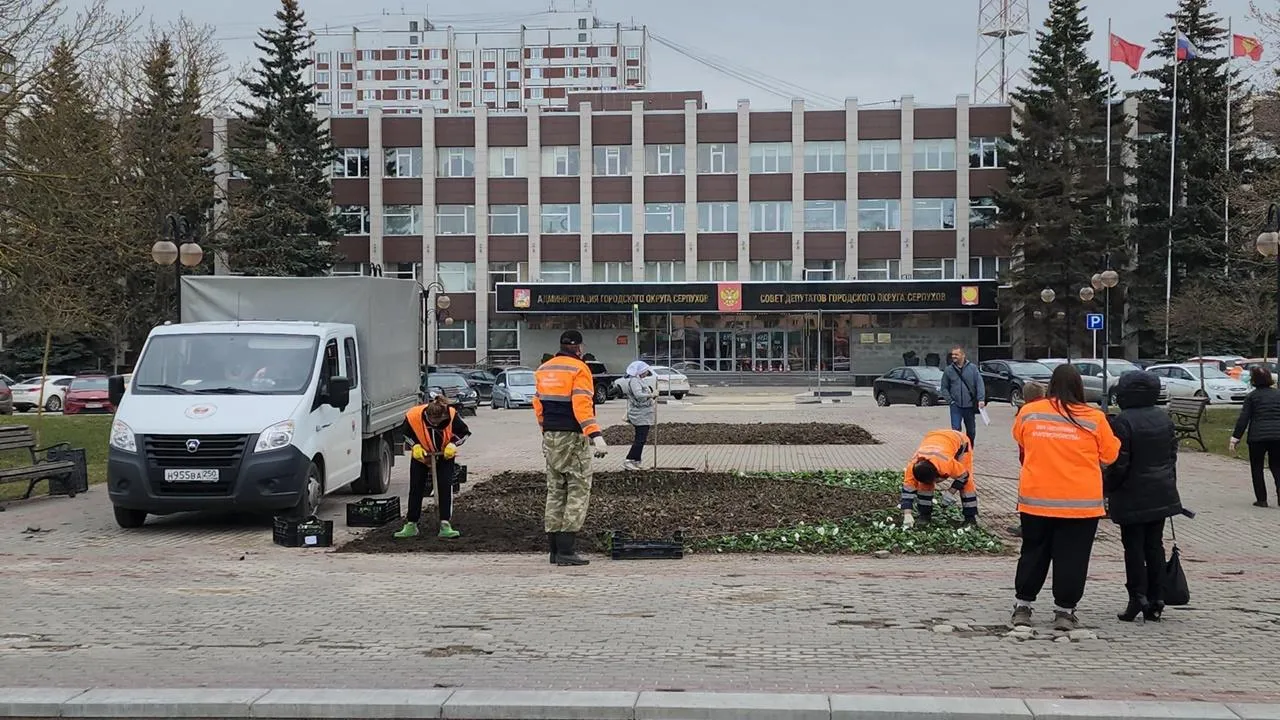 Картинка