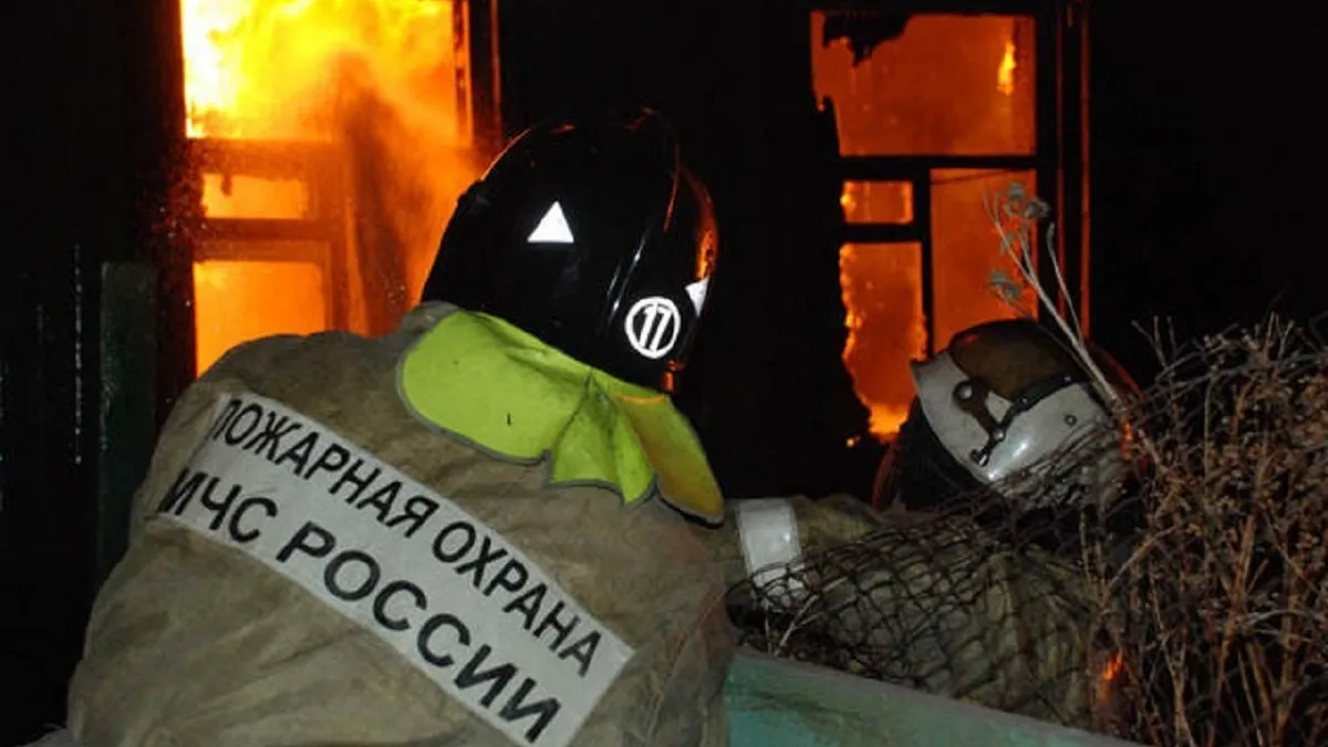 Фото: ГУ МЧС России по МО