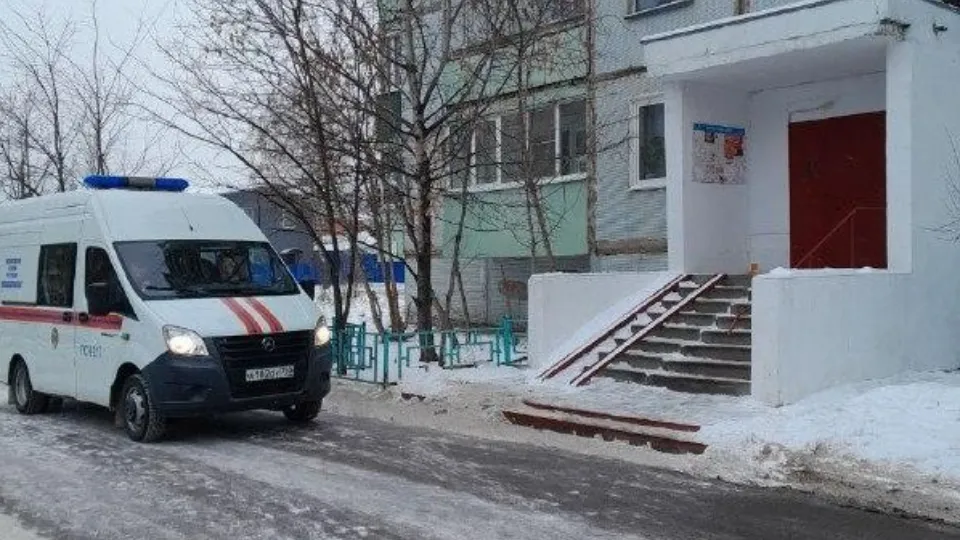 Фото: ГКУ МО «Мособлпожспас»