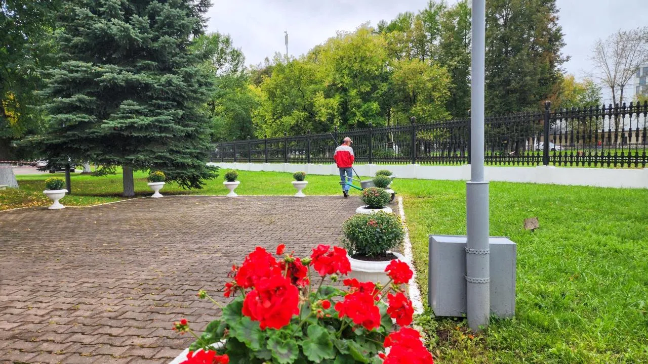 Картинка