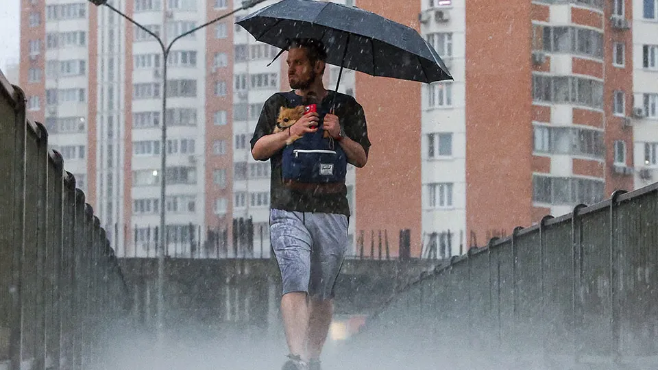 Фото: ТАСС/Сергей Булкин