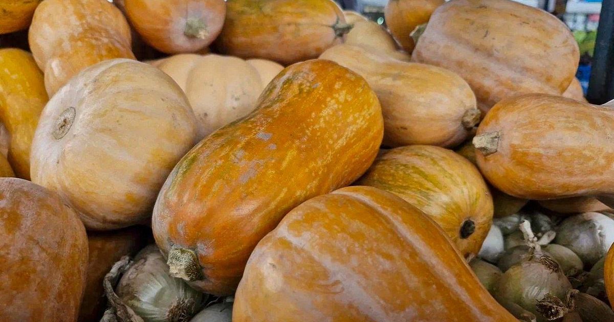 Тыква: суперфуд или скрытая угроза? Мнение эксперта