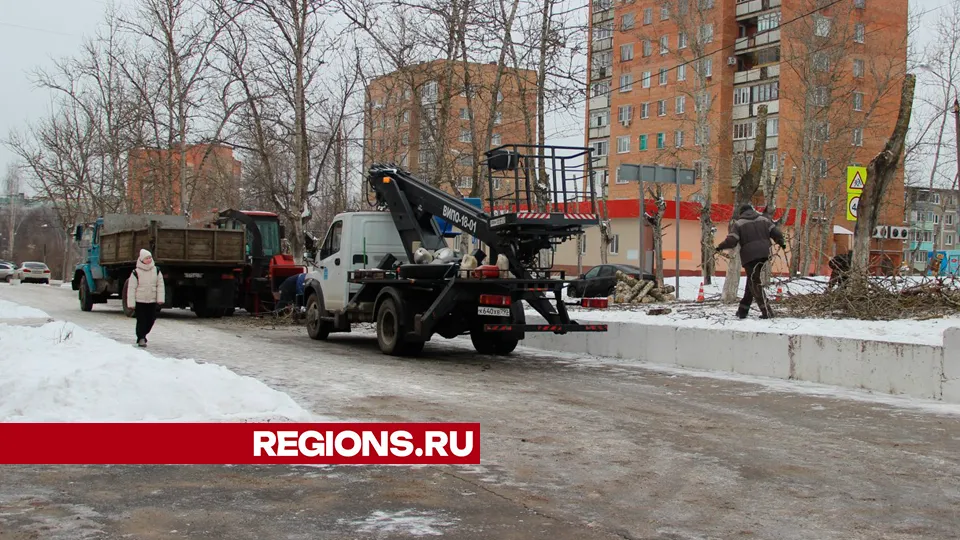 Фото: REGIONS/Василий Тремасов