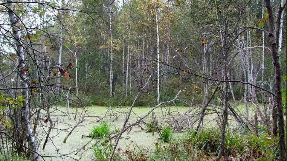 Фото: ПФ «Верховье»