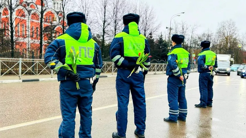 Фото: Госавтоинспекция Московской области
