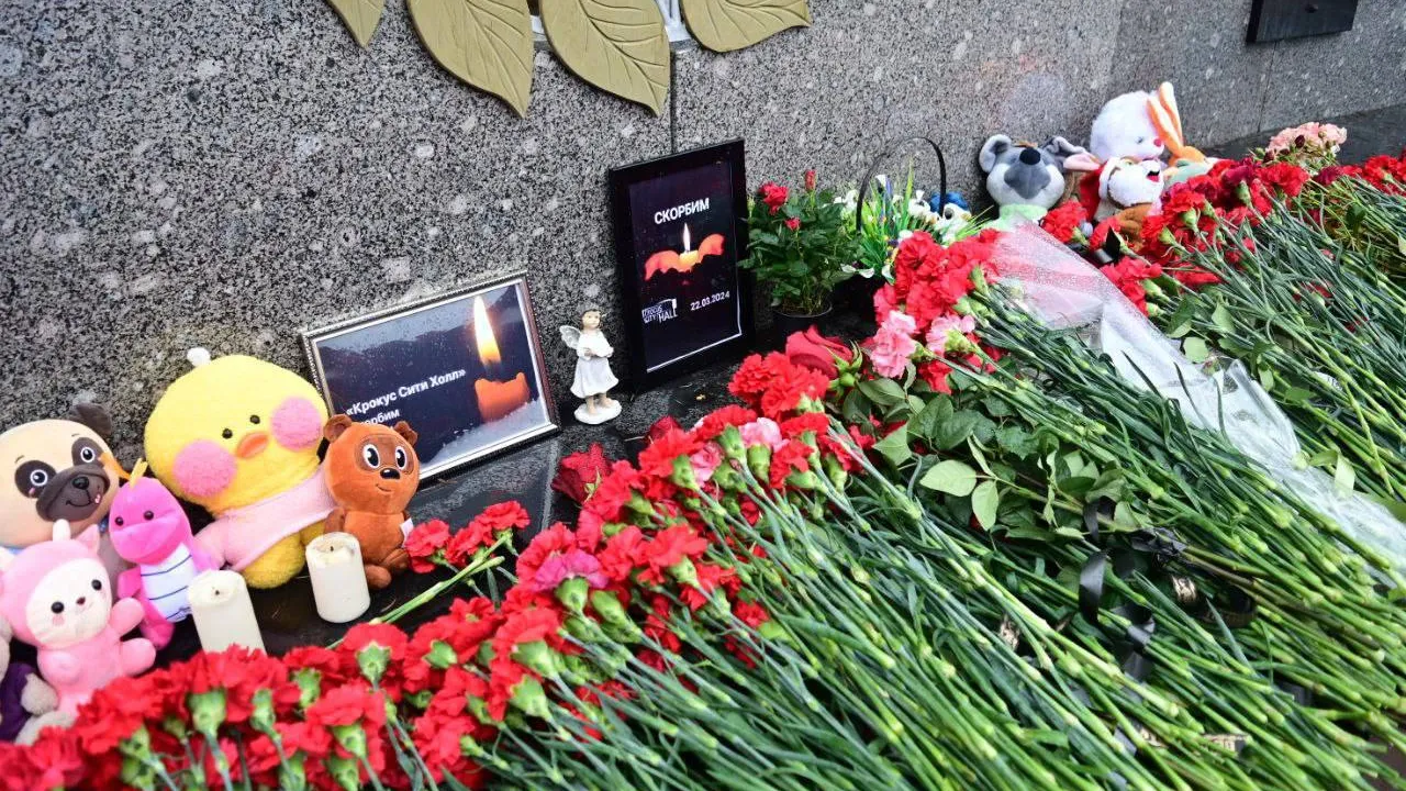 Фото предоставлено администрацией городского округа Домодедово