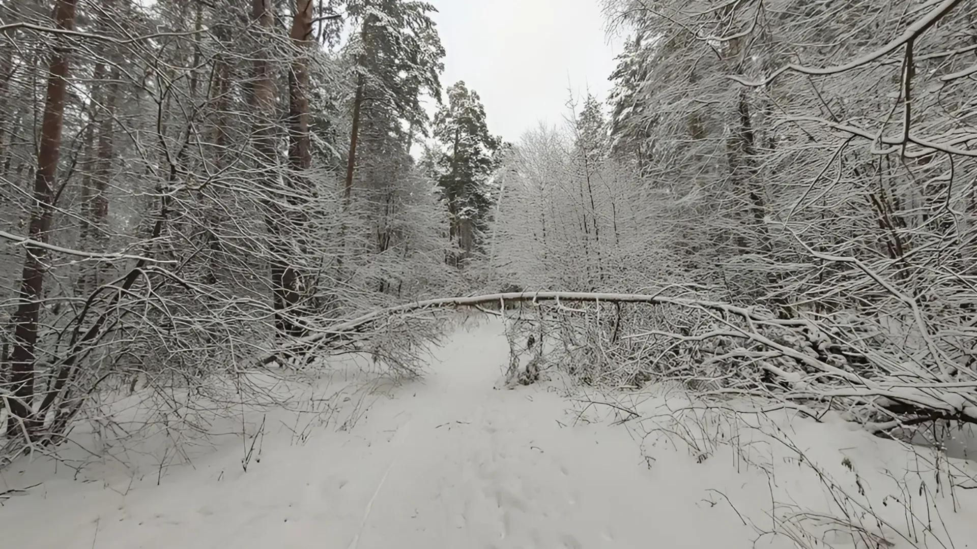 Фото: REGIONS/Алексей Селиверстов