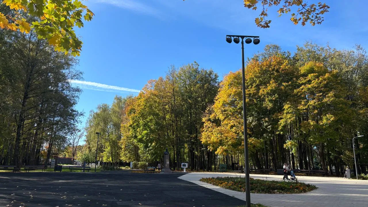 Фото: REGIONS/Алена Мельникова
