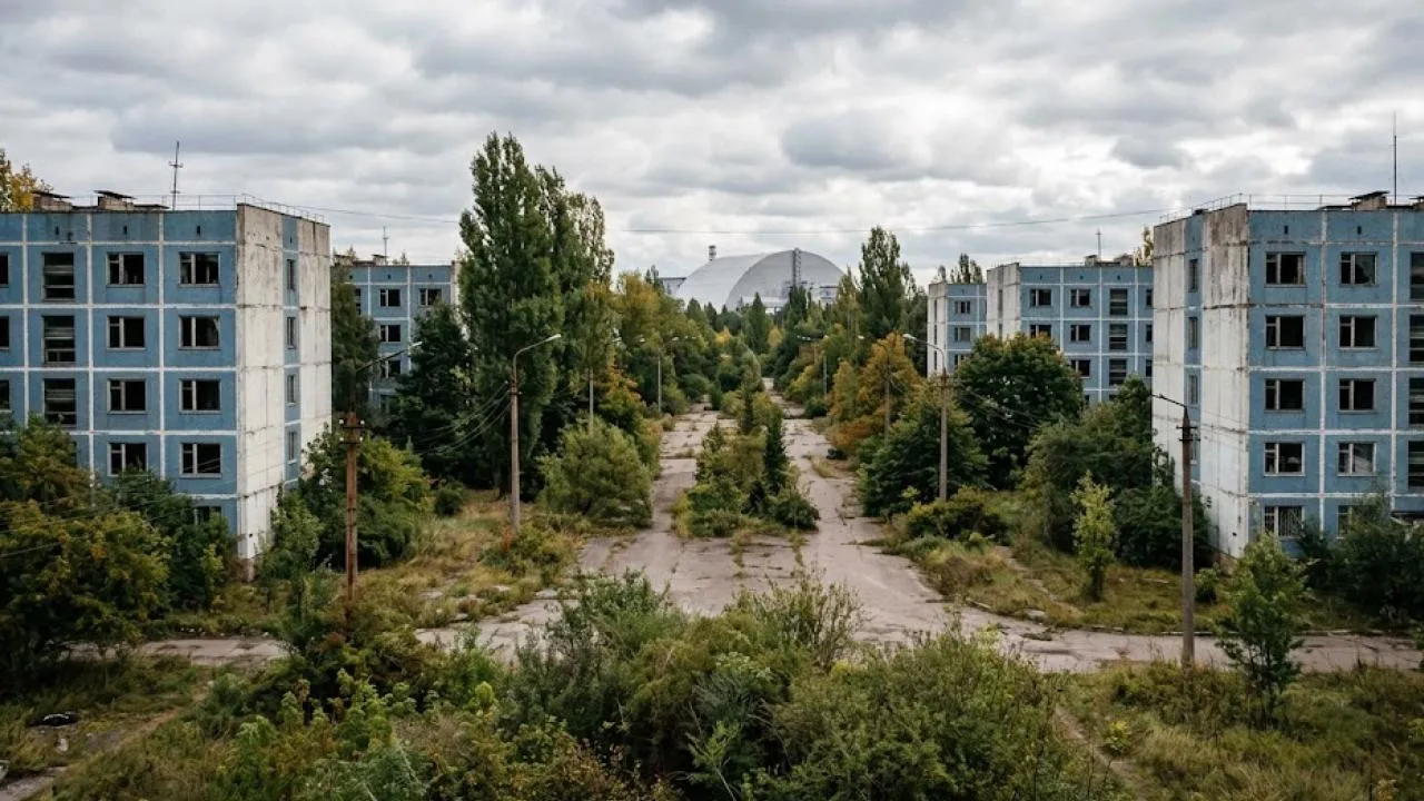 Чернобыльская пустошь расцвела: рыси, волки и кони Пржевальского захватили зону отчуждения