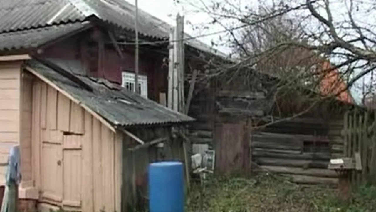 Фото: пресс-служба ОМВД Талдомского городского округа