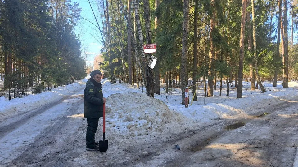 Фото: Комитет лесного хозяйства Московской области