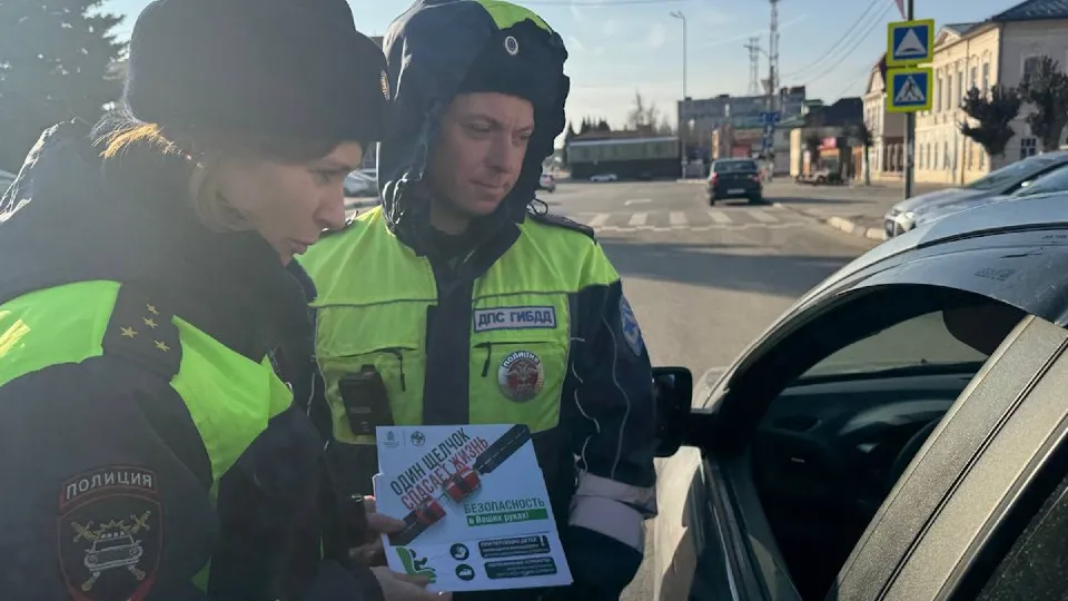Фото: пресс-служба ГИБДД по Павлово-Посадскому городскому округу