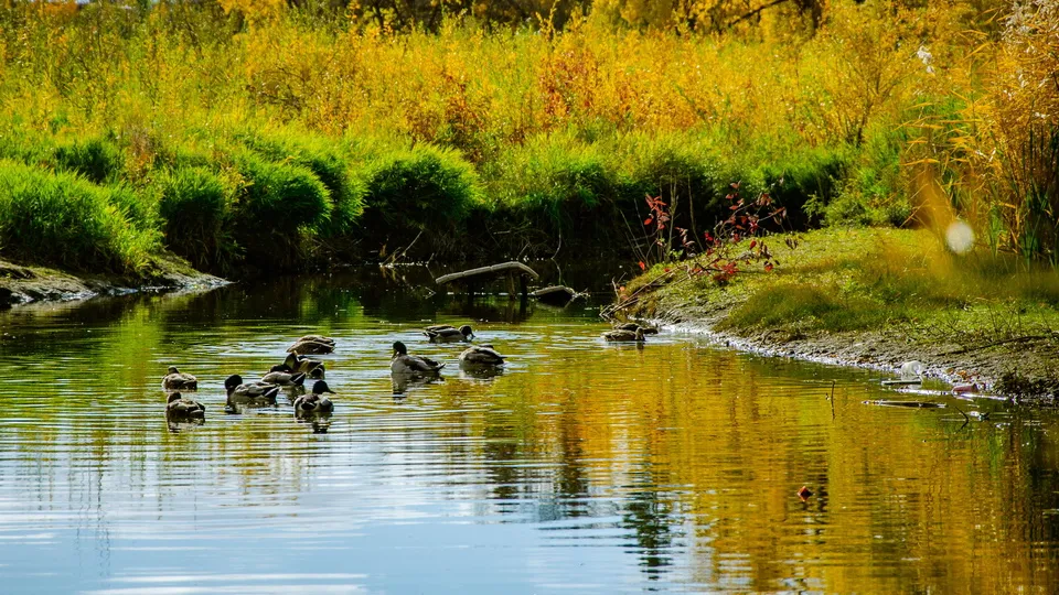 Фото: freepik.com