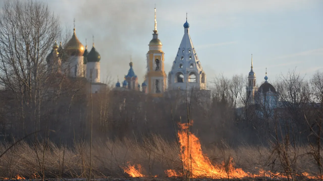Фото: Алексей Воронин