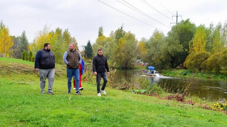 Картинка