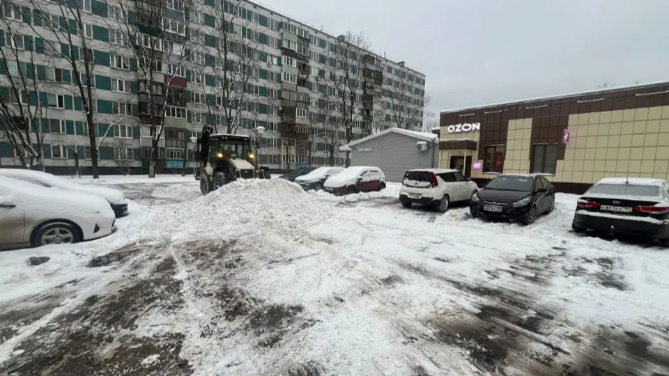Фото: пресс-служба администрации г. о. Черноголовка