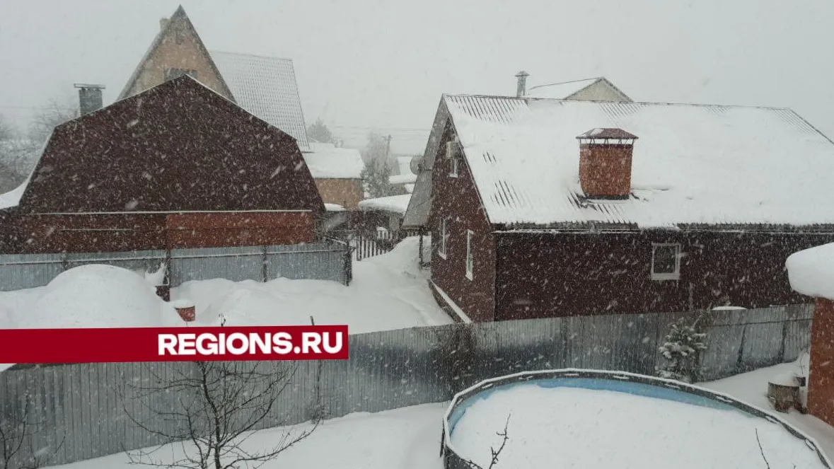 Фото: regions.ru