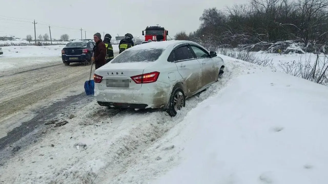 Картинка