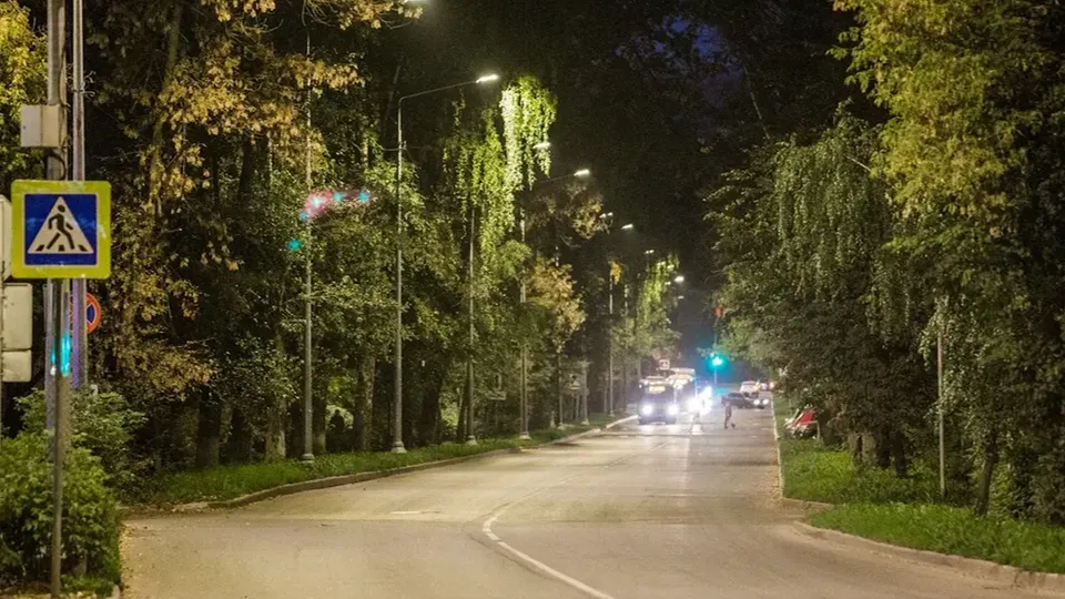 Фото: Министерство благоустройства Московской области