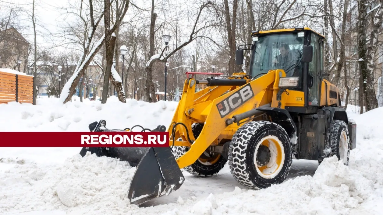Фото: пресс-служба администрации г. о. Лыткарино