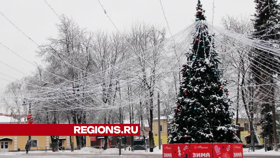 Фото: REGIONS/Василий Тремасов