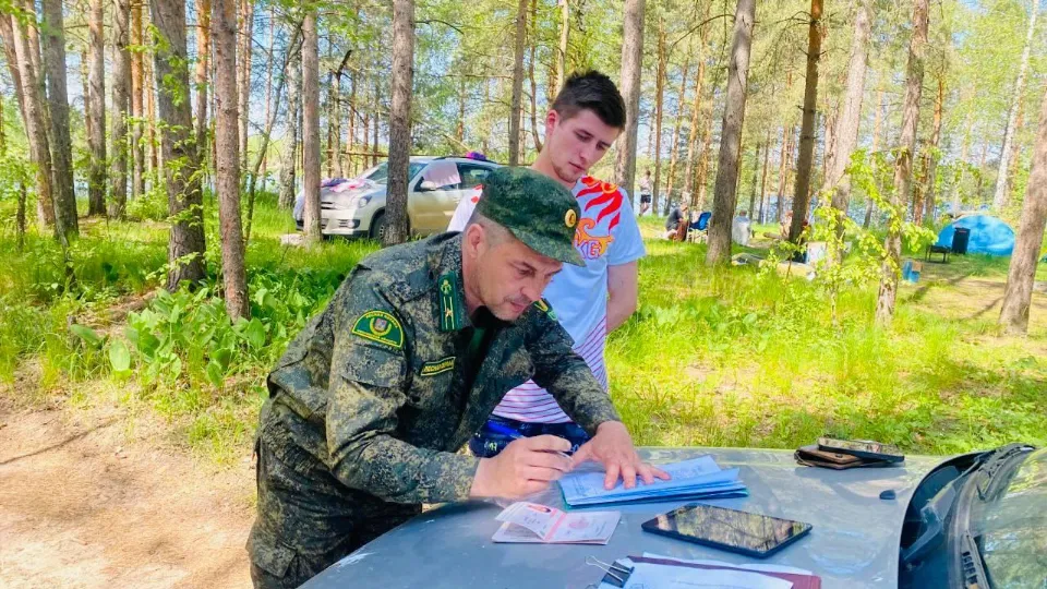 Фото: Комитет лесного хозяйства МО
