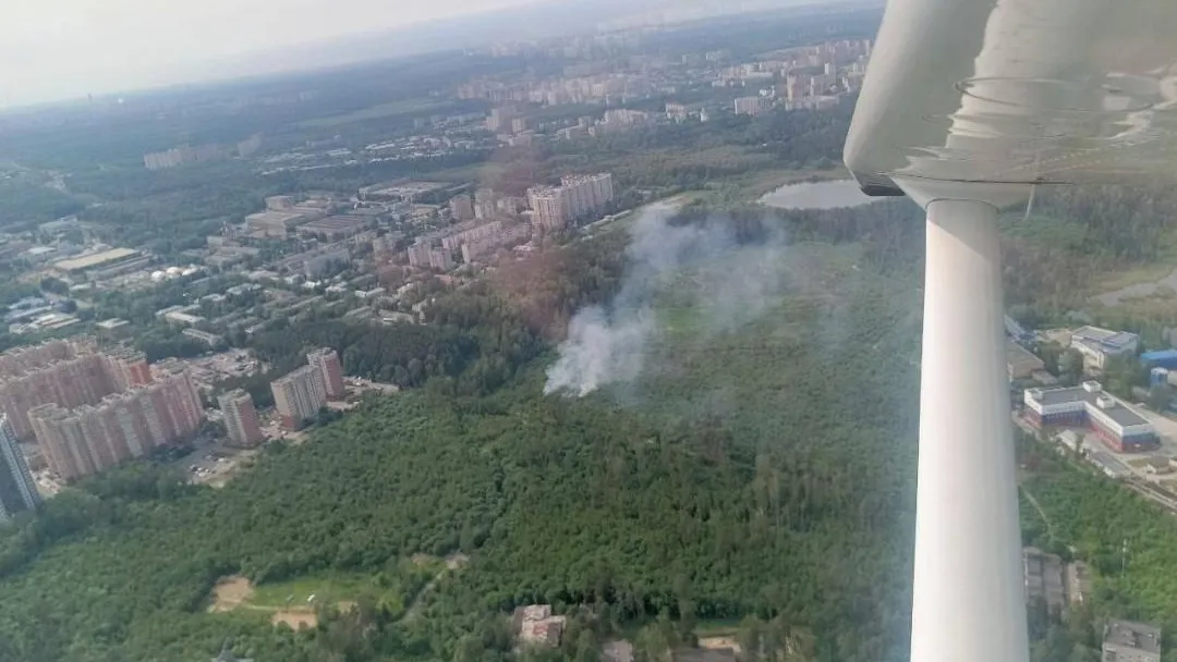 В Подмосковье рассказали о лесопожарной обстановке