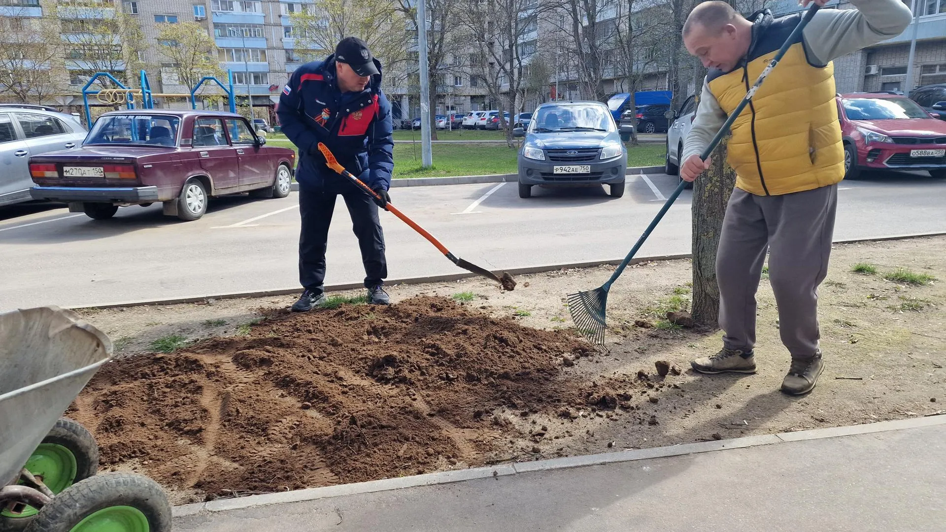 Картинка