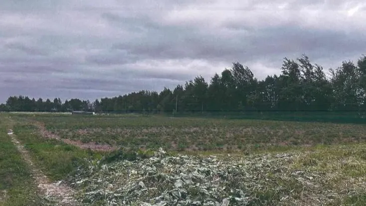 В Подмосковье на земельно-имущественные торги выставили более 130 объектов