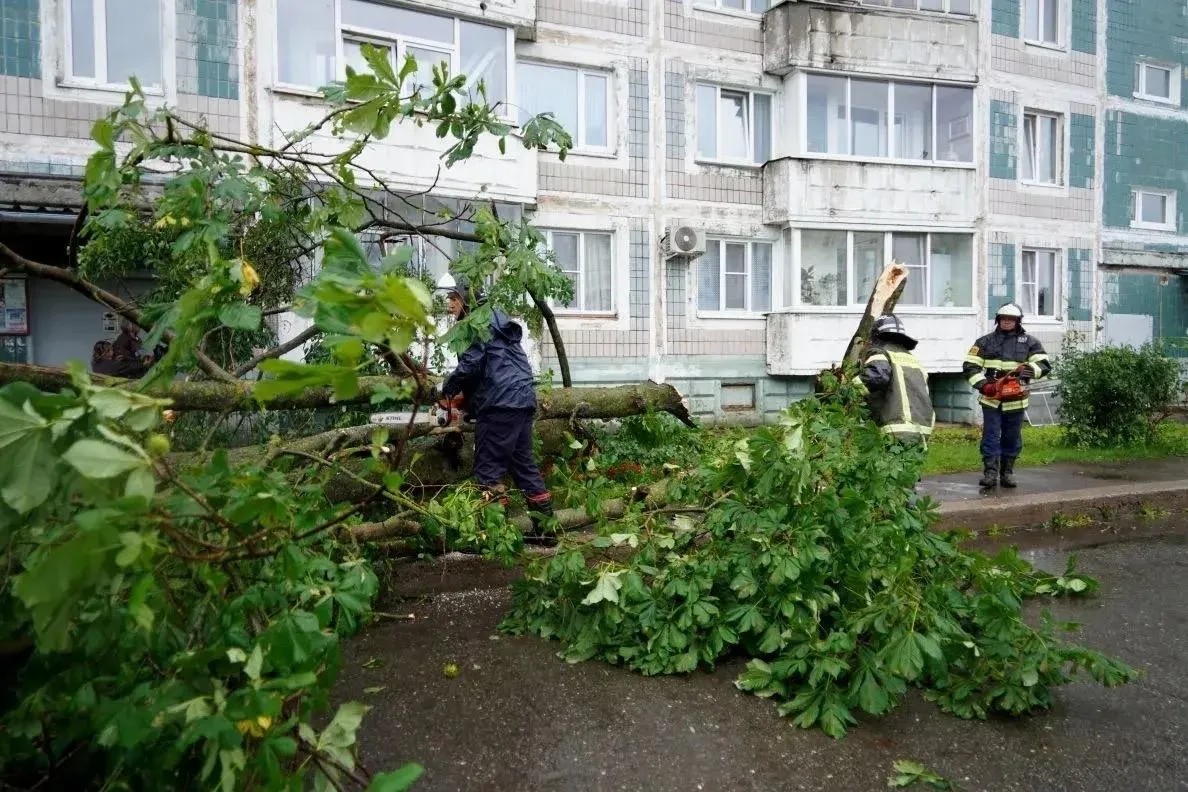 глава Сергиево-Посадского городского округа Оксана Ероханова