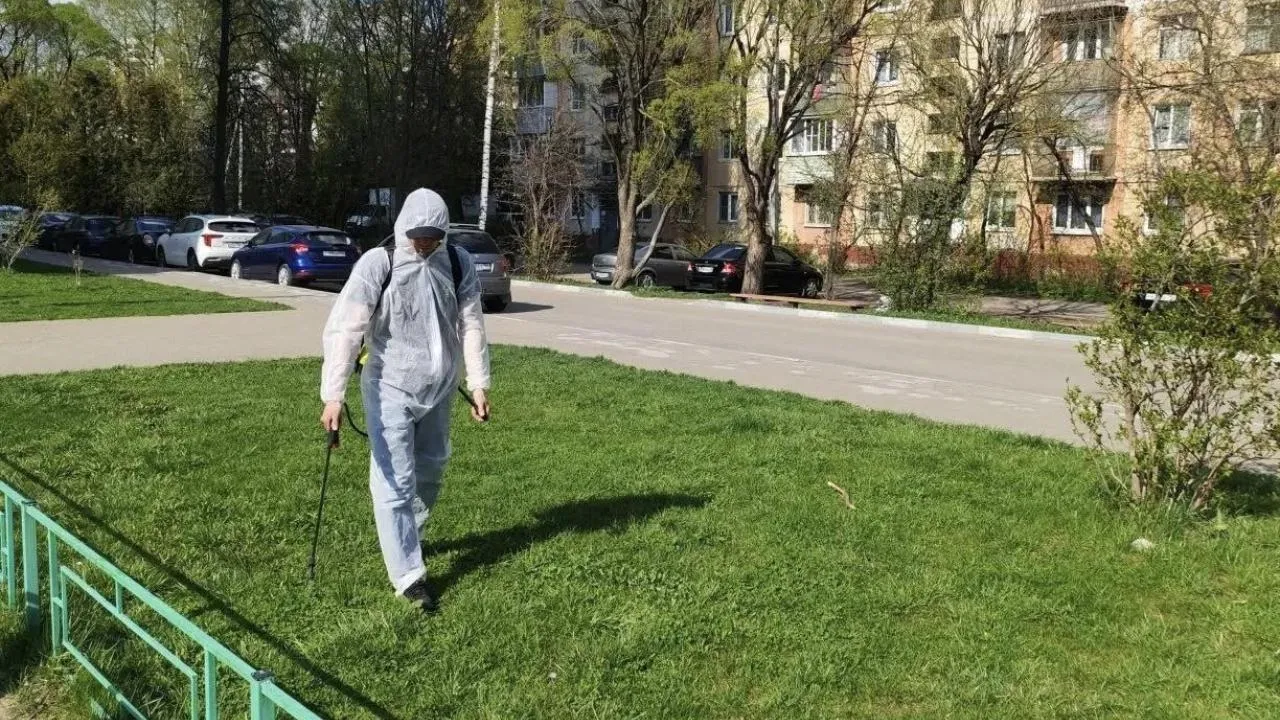 В Подмосковье стартовала обработка дворов и общественных пространств от клещей