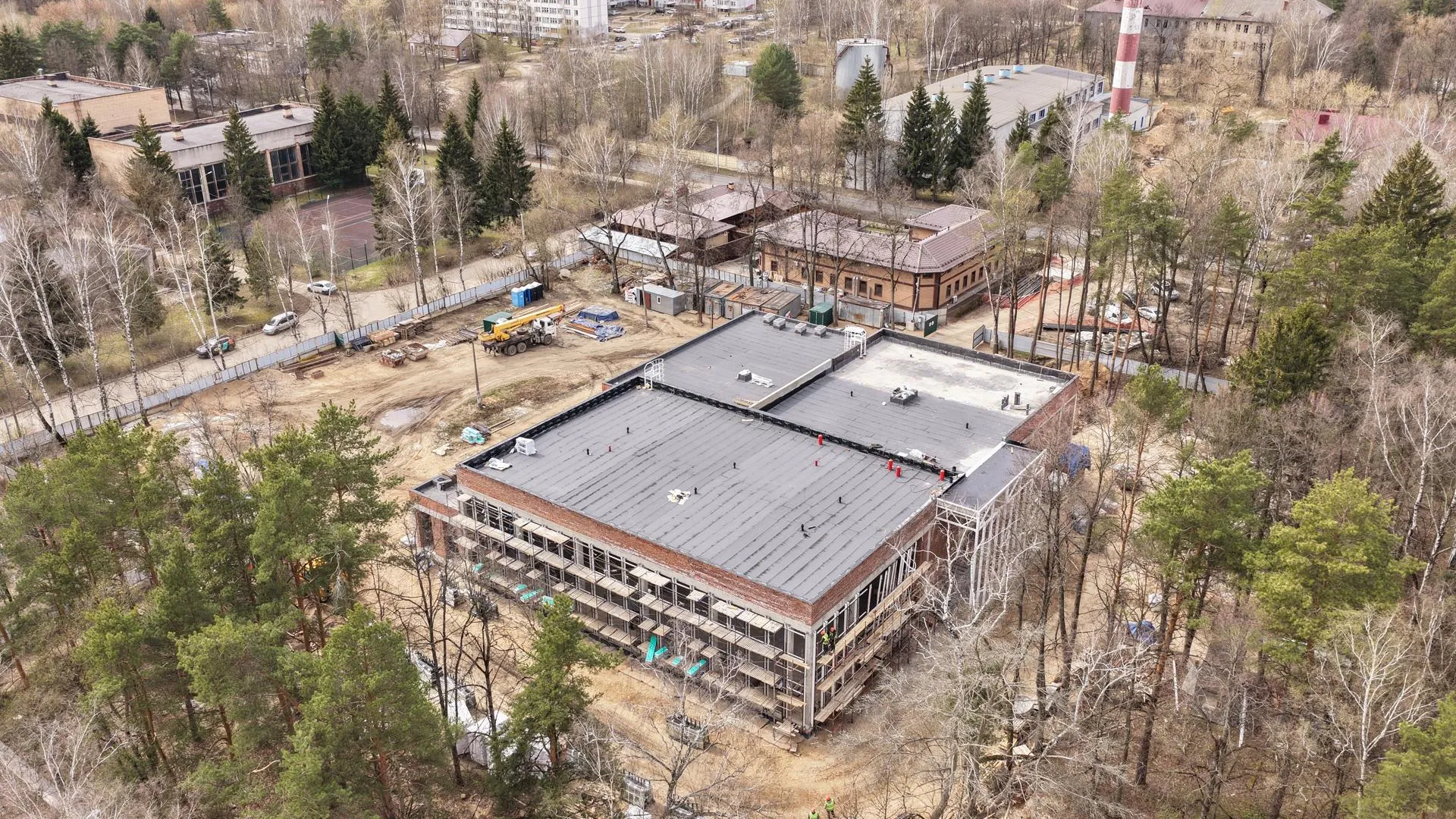 Картинка