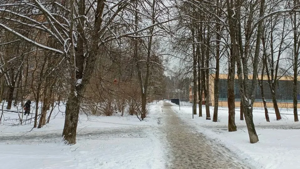 Фото: Светлана Калачева