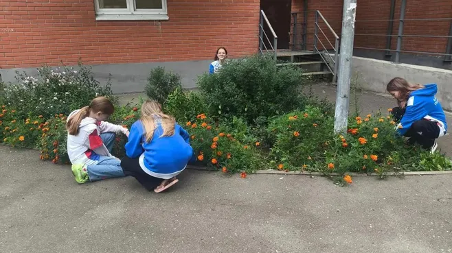 Картинка